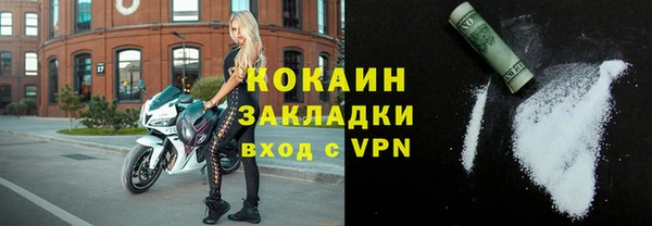 сатива Коряжма