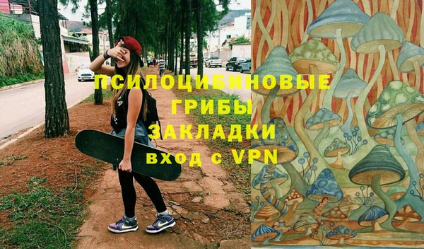 ешки Костерёво