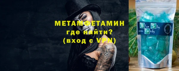 сатива Коряжма