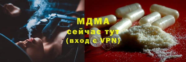 сатива Коряжма