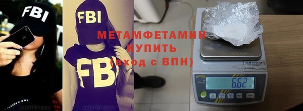 сатива Коряжма