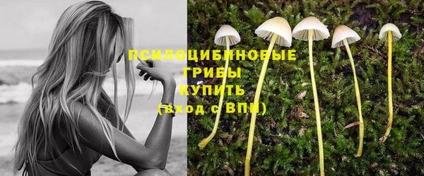 ешки Костерёво