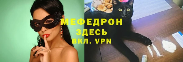 сатива Коряжма