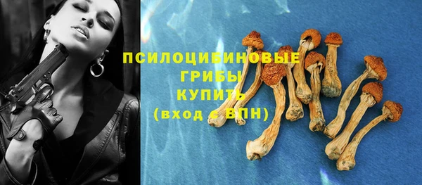 сатива Коряжма