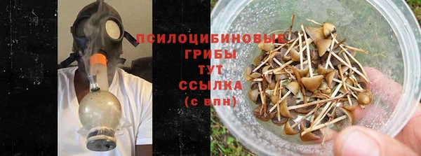 сатива Коряжма