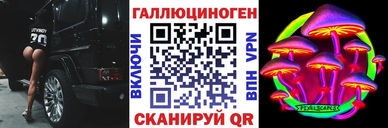 Псилоцибиновые грибы прущие грибы  Купить  Черноголовка 